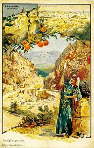 01- Affiches AFN  10